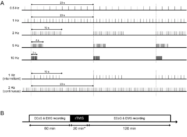 Figure 3. rTMS protocols. (A) In 0.5- and 1-Hz rTMS protocol, TMS pulses were continuously delivered  for 40 and 20 min, respectively