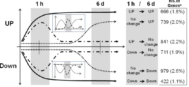 Fig.  1-3  Gene  expression  patterns  in  two-time  regimes  (1  h,  6  days)  for  3-D  clinorotation