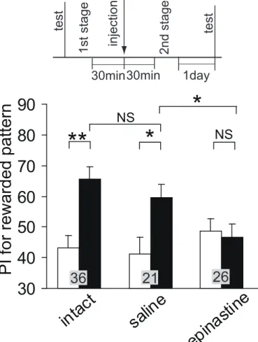 Fig. 6. 2 次条件付け第 2 段階でのオクトパミン受容体阻害剤の影響