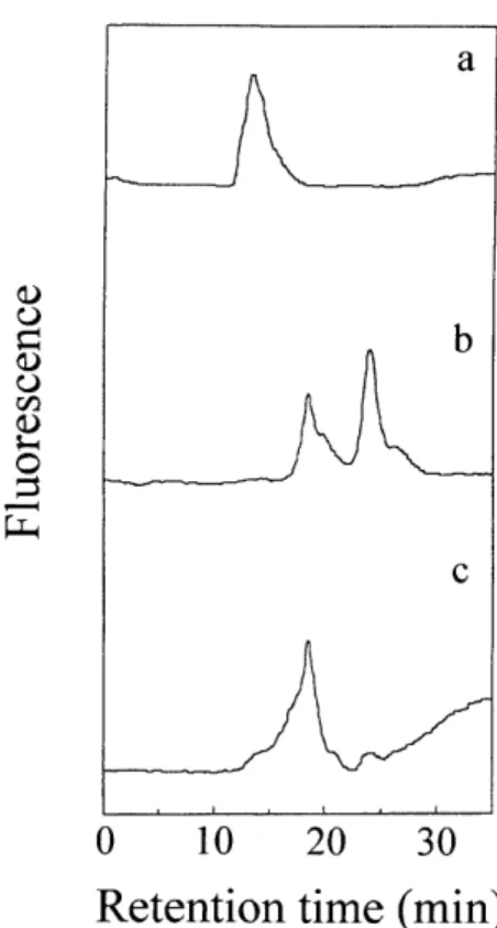 Figure 4 Affinity HPLC of the PA-glycosaminoglycan chains of PG-II on a hydroxyapatite column.
