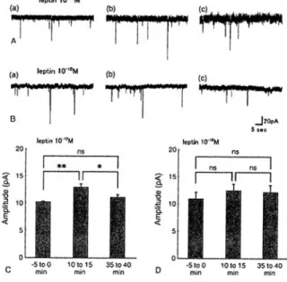 Figure  2 Leptin  effects  on  LTP  in  CA1  neurons. （A）  