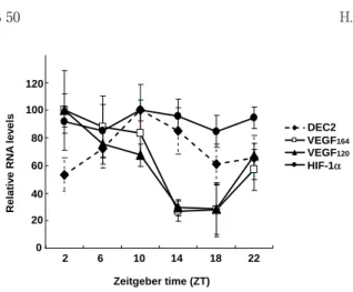 Figure  5  Circadian  expression  of  VEGF  and  DEC2  mRNA  in  implanted  tumor  cells.    Temporal  proﬁ les of mRNA expression of HIF-1 α , DEC2,  VEGF 164 ,  and  VEGF 120   in  tumor  masses.    For  plots  of  RNA,  the  mean  peak  values  for  HIF