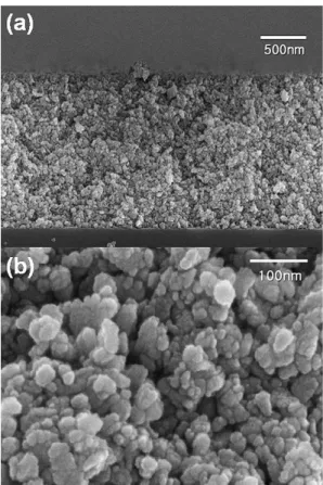 Figure 1.2  インクジェット法で成膜した ITO 薄膜の(a)30,000 倍観察、(b) 200,000 倍観察の断面 FE-SEM 像 17