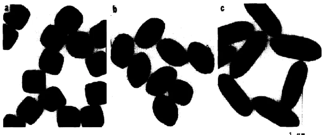 Figure 1.10 NaH 2 PO 4 の添加量を (a) 0 、 (b) 1.0 × 10 -3 、 (c) 3.0 × 10 -3  mol / dm -3 とした 場合の -Fe 2 O 3 粒子の TEM 像 38 さらに Sugimoto らはアミンおよびカルボン酸塩を用いたアナターゼ型 TiO 2 ナノ粒子の形態制御についても報告している 39 。チタン (IV) テトライソプロポキ シドを Ti ソースとして TiO 2 を合成する際に、トリエタノールアミンが少ない場 合には pseu
