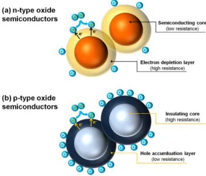 Fig. 1.5. Formation of electronic core–shell structures in (a) n-type and (b) p-type oxide  semiconductors