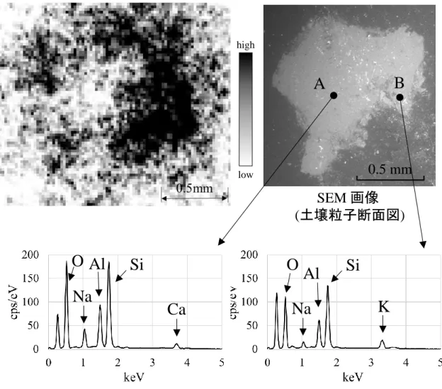図 2-22  土壌粒子断面の SEM 画像と X 線スペクトル 
