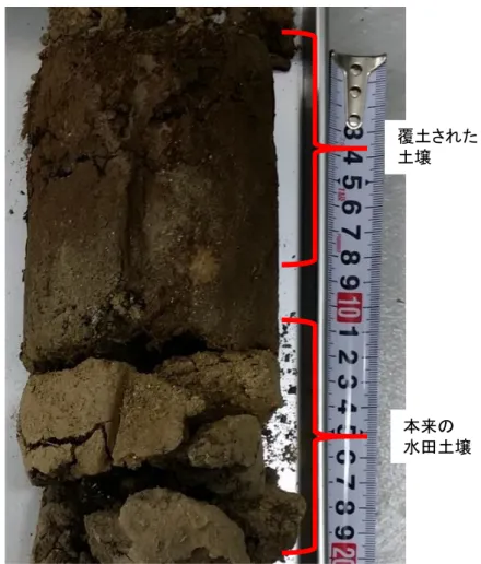 図 4-4    Sample point 1-1 で採取した土壌コア  覆土された土壌