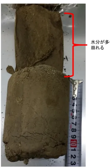 図 4-5    Sample point 1-2 で採取した土壌コア  水分が多く、
