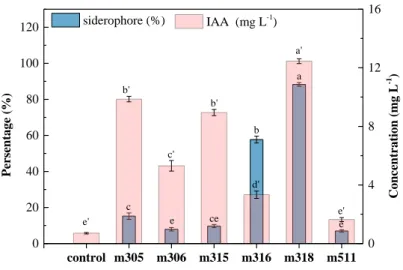 Fig. 4 Siderophore and IAA secretion of selected isolates from P. multifida.   