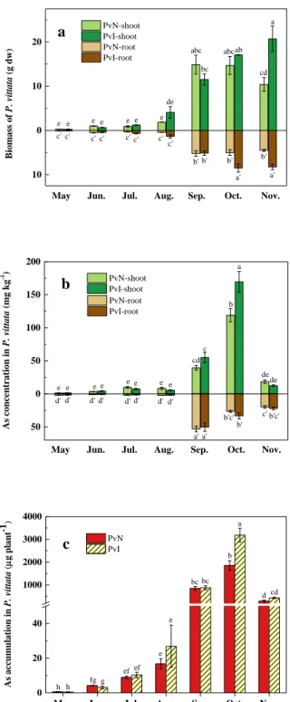 Fig. 7 Field-scale evaluation of As phytoextraction in P. vittata. (a) Biomass of P. vittata (g dw); 