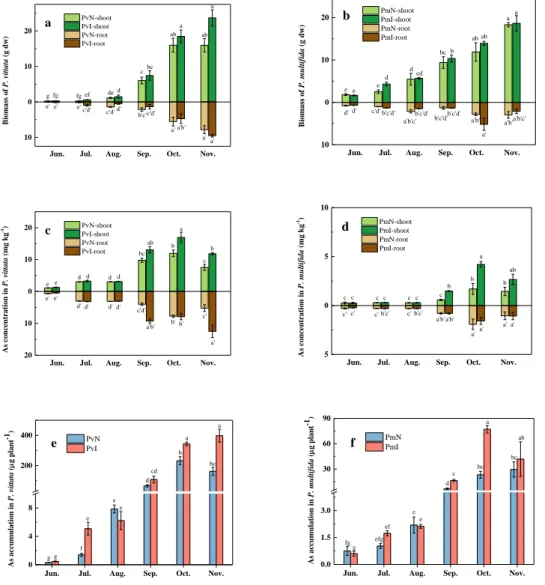 Fig. 9 Field-scale evaluation of As phytoremediation in P. vittata and P. multifida: (a) biomass of  P