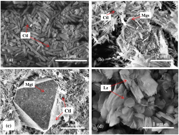 Fig. 2-7. SEM images of olivine after 72 h reaction in NaHCO 3  solution with concentrations of (a) 0, (b, c)  0.5 and (d) 1.0 mol/L at 300 °C, 10 MPa