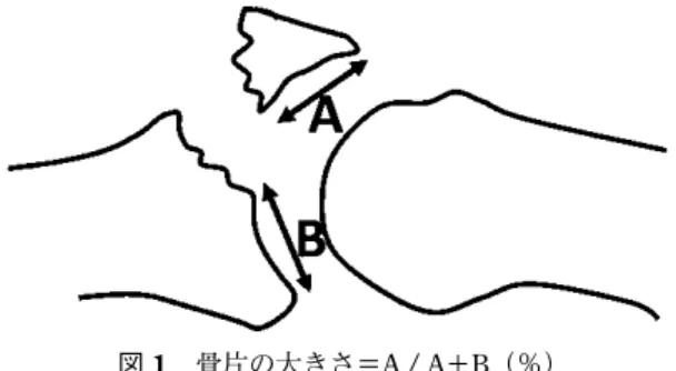 図 1  骨片の大きさ＝A / A＋B（％）