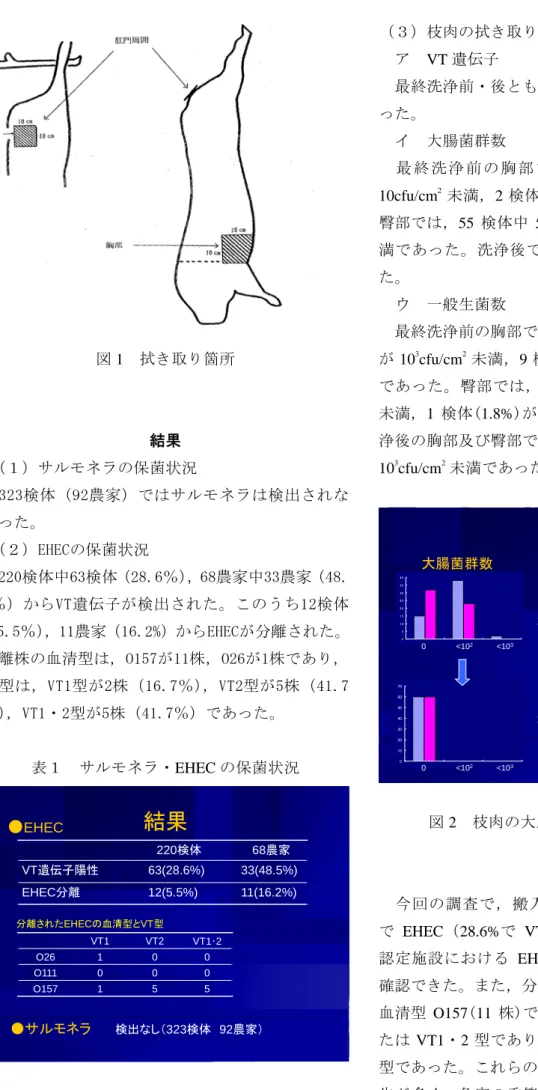 図 1 拭き取り箇所 結果 （１）サルモネラの保菌状況 323検体（92農家）ではサルモネラは検出されな かった。 （２）EHECの保菌状況 220検体中63検体（28.6％），68農家中33農家（48