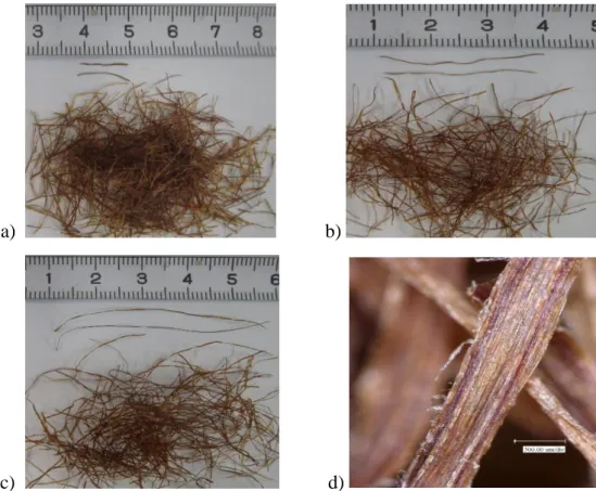 Fig. 3. 1 Cornsilk fibers used in this investigation: (a) 10 mm long; (b) 30 mm long; (c) 50 mm  long; (d) micrograph of cornsilk with 200X