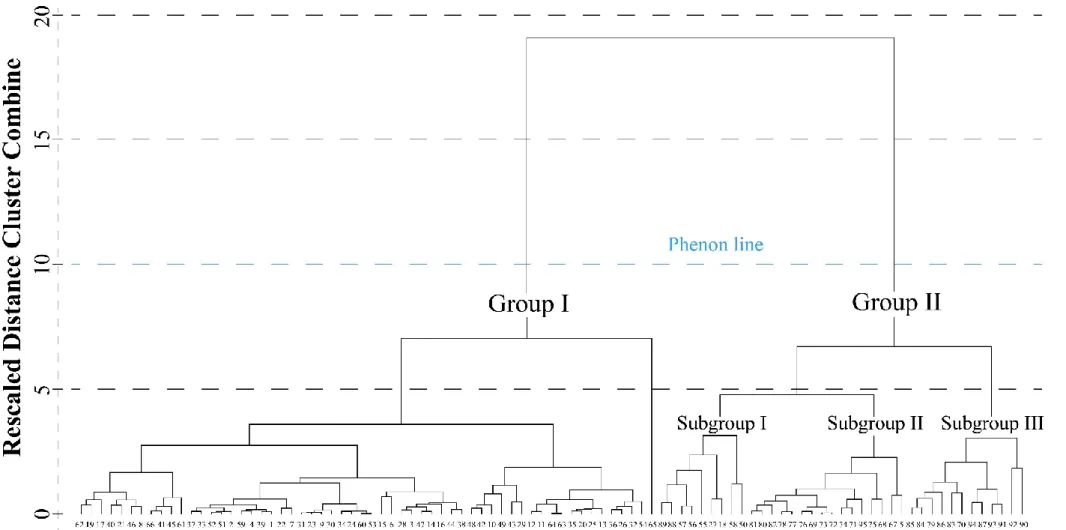 Figure 30. Dendrogram for groundwater samples based on hydrogeochemical properties in the Gunii Khooloi basin.