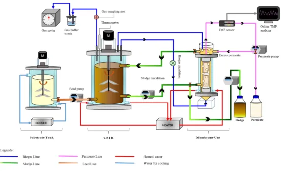 Figure A: The schematic diagram of the HF-AnMBR system 