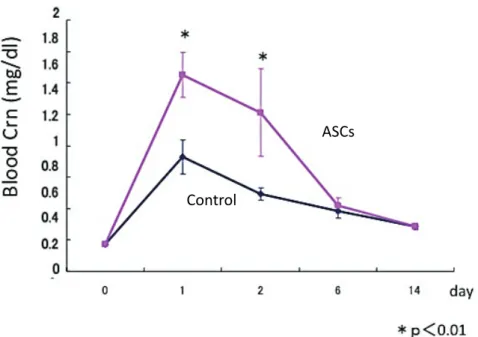 Fig 1.  Renal  function after the intravenous injection of low serum  cultured human adipose tissue-derived stromal cells （hLASCs）.