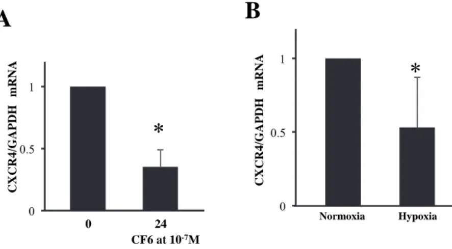 Figure 1　Effects of human coupling factor 6 （CF6） or hypoxia on the gene expression of CXC chemokine  receptor type 4 （CXCR4） in human umbilical vein endothelial cells （HUVEC）.