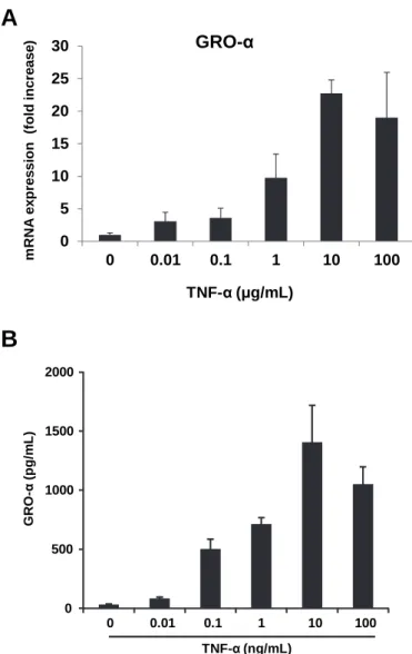 Fig. 2　Concentration-dependent induction of GRO-α by TNF-α. KOSC-2 cells were incubated with 0.01- 100ng/