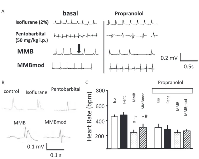 Figure 1　A）Representative tracing of ECG during isoflurane （2%）, pentobarbital （50 mg/kg）, original MMB  and modified MMB administration