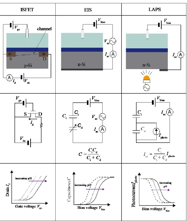 Figure 1.2 Structures, equivalent circuits and signals of ISFET, capacitive EIS sensor and  LAPS