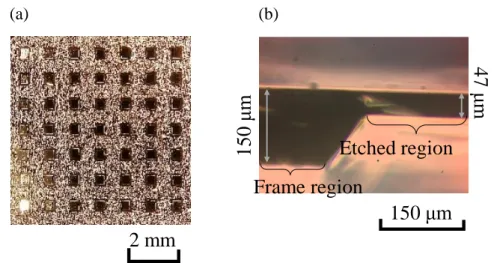 Figure 2.12(a) Optical image of the partially-etched structures on the back surface of the  LAPS sensor plate
