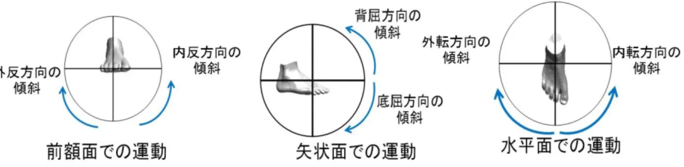 図 3.2  立脚初期における不適切な足部 3 次元運動の例 (a)前額面での運動が不適切な場合 (b) 矢状面での運動が不適切な場合 
