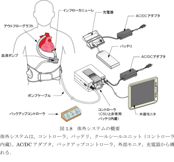 図 1.8 体外システムの概要