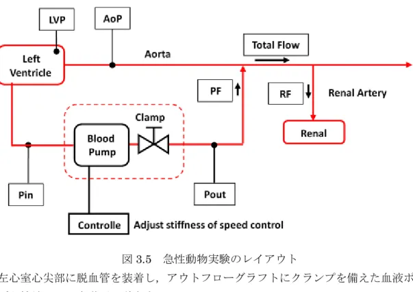 図 3.5 急性動物実験のレイアウト