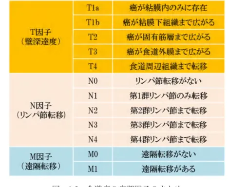 図  1.5  食道癌の病期因子のまとめ 