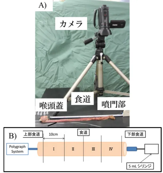 図 2.2  A)  食道内圧容積試験の実験装置全体図  B)食道内圧容積試験の概念図 