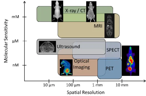 Figure  1.1:  Molecular  sensitivity  and  spatial  resolution  of  various  imaging  modalities:  computed  tomography  (CT),  magnetic  resonance  imaging  (MRI),  ultrasound,  single-photon  emission  computed  tomography (SPECT), positron emission tomo