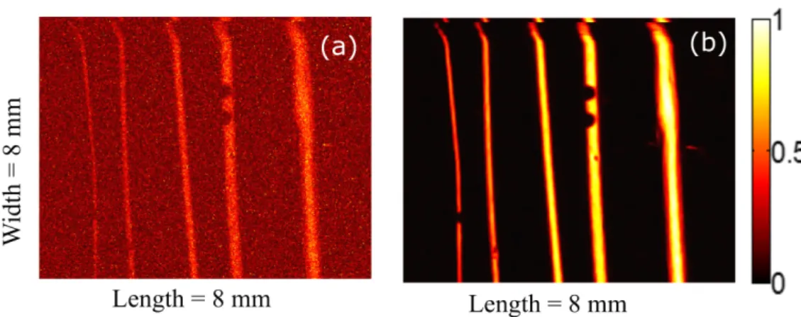 Figure 4.3: a) Raw image maximum intensity projection; b) Denoised MIP image of blood filled tubes.