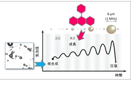 図 5.1  キャビテーションの生成過程に寄与する化合物