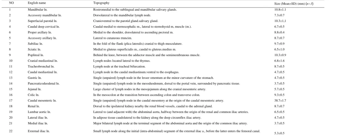 Table 2.1. LNs characterized in MXH10/Mo/lpr mice 