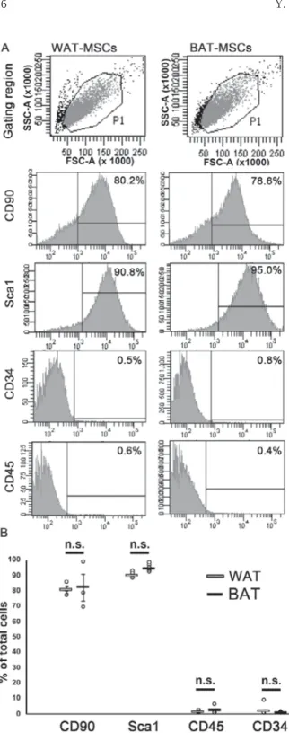 Fig. 2 Cell-surface markers of AdMSCs