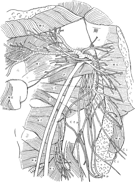 Fig. 12. In this case, the Wh ol eoft heco mmonpe ron eal