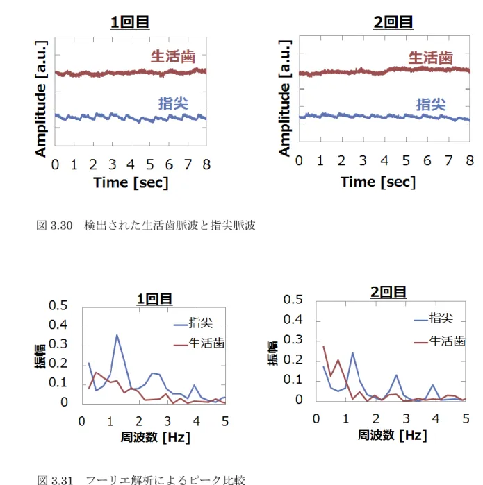 図 3.30  検出された生活歯脈波と指尖脈波 
