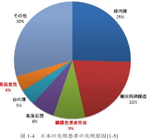 図 1-4  日 本 の 失 明 患 者 の 失 明 原 因 [1-5]  先 に 述 べ た 加 齢 黄 斑 変 性 や 網 膜 色 素 変 性 症 に 共 通 す る 特 徴 と し て 、 網 膜 の 視 細 胞 が 変 性 す る と い う こ と が あ げ ら れ る 。 図 1-5 に 眼 球 と 網 膜 の 構 造 を 示 す [1-10]。 網 膜 は 球 状 の 眼 球 に 張 り 付 く よ う に 湾 曲 し て い る 。 網 膜 は 、 視 細 胞 、 水 平 細 胞 、 双 