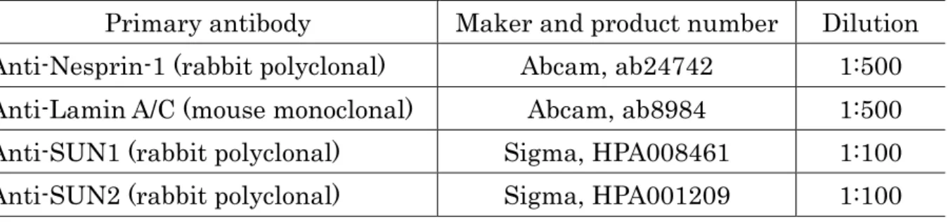 Table 2.2  免疫蛍光染色に用いた一次抗体と希釈倍率