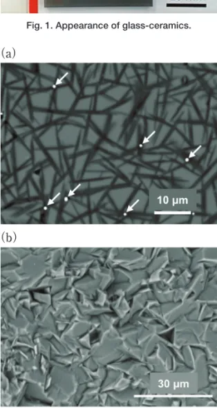 Fig. 2. SEM images of the glass-ceramics  （a） Polished  surface  （b） Fractured surface.