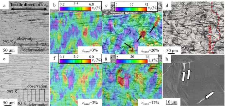 Fig. S7 Results obtained by in situ deformation experiments at (a d) 293 and (e h) 93 K in the Fe-32Mn alloy