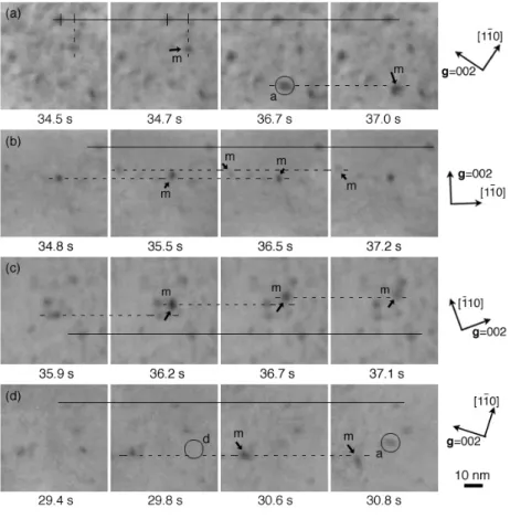 Figure 4    Typical examples of dynamic behaviors of interstitial clusters in (a) 