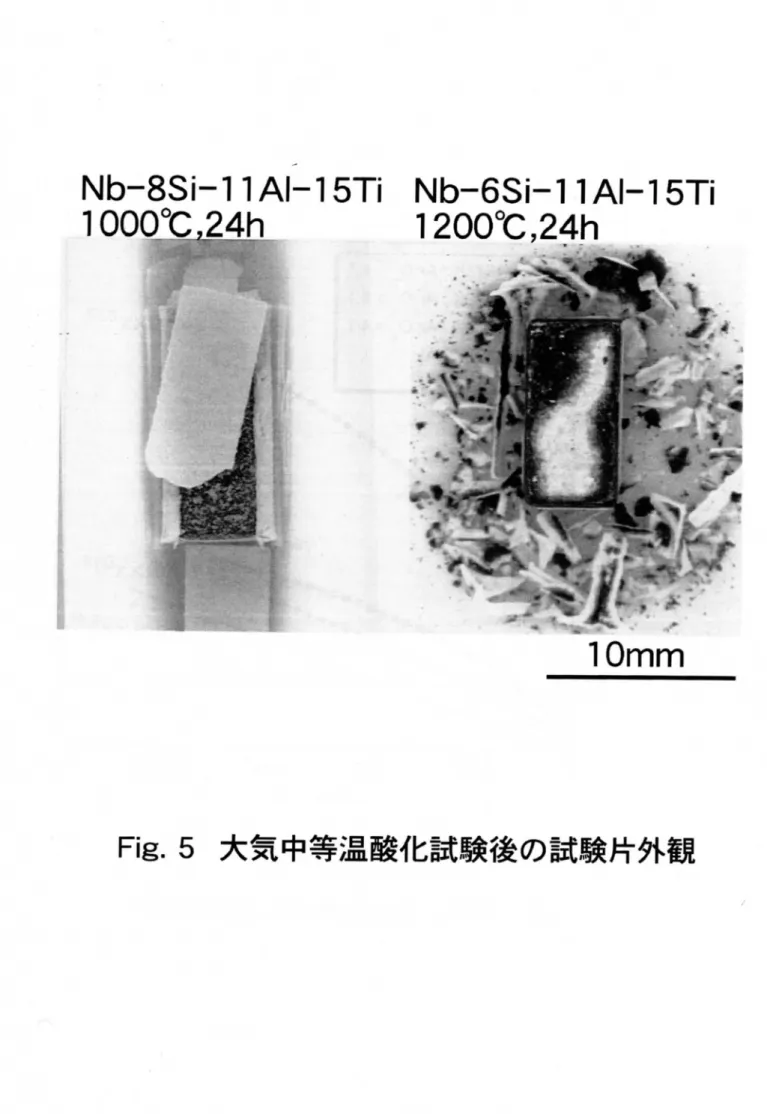 Fig. 5 大気中等温酸化試験後の試験片外観
