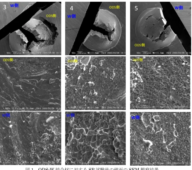 図 1  ODS-W 接合材に対する SP 試験後の破面の SEM 観察結果 