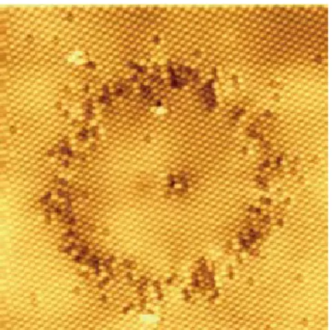 Fig. 2. Polymer ring of C 60  formed by electron injection from  STM tip.