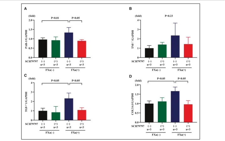 Figure 8.  PAR- 1 (protease- activated receptor- 1) antagonist SCH79797 (1 ƈmol/L) attenuates the  increase in proinflammatory and fibrotic- related gene expression in response to factor Xa (FXa; 