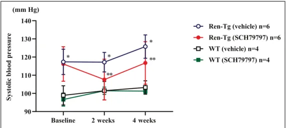 Figure 1.  Systolic blood pressure in renin- overexpressing hypertensive (Ren- Tg) mice and wild-  type (WT) mice at baseline and at 2 and 4 weeks after treatment with vehicle or PAR- 1 (protease-  activated receptor- 1) antagonist SCH79797 (25 ƈg/kg per d