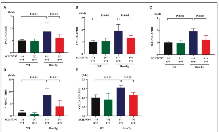 Figure 5.  PAR- 1 (protease- activated receptor- 1) antagonist SCH79797 attenuates the increase in cardiac mRNA expression  levels related to proinflammatory and profibrotic processes